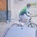 /VIDEO/ Problemi s Romskom zajednicom u Tutinu: Spektakularna krađa bicikla u sred bijela dana