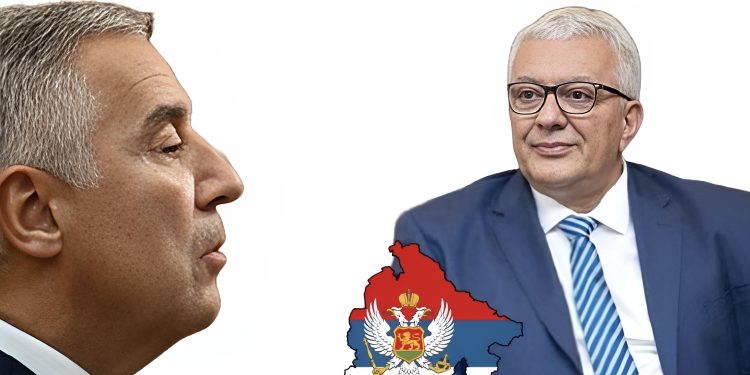 DPS: Mandićevi mentori teško podnose činjenicu da su izgubili izbore u Podgorici