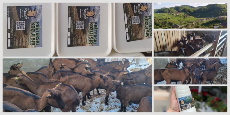/FOTO/ Tutin: Farma koza Alije Sadovića – Zdravlje iz prirode