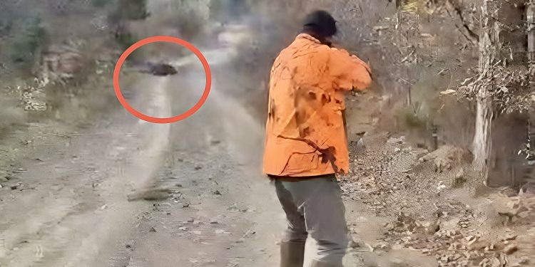 /VIDEO/ Pogledajte spektakularan video: Ćoki Špiljanac u akciji – ustreljenje vepra koje oduzima dah!