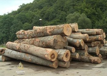 Nove cijene ogrjevnog drveta od strane JP “Srbijašume”