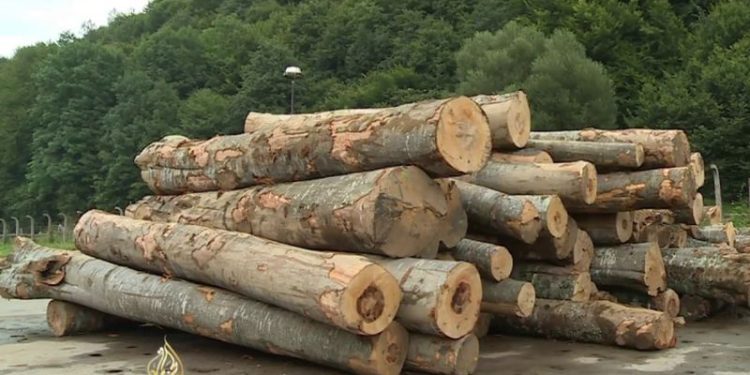 Nove cijene ogrjevnog drveta od strane JP “Srbijašume”