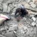 /VIDEO/ U izraelskom genocidu na sjeveru Gaze ubijene 32 osobe, uključujući 13 djece