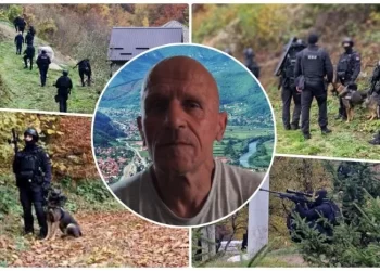 ODBJEGLI ALIJA JE ZVJER U LJUDSKOM OBLIKU, OPASAN JE I PO SEBE I PO OKOLINU!