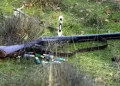U Dom zdravlja dovezeno beživotno tijelo lovca, smrt je uzrokovana vatrenim oružjem