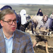 Vučić raspiruje međunacionalnu mržnju u Sandžaku: Balijagić nazvan “islamskim ekstremistom”