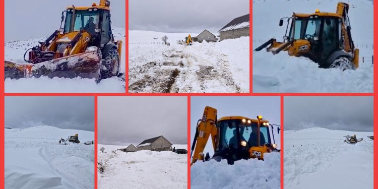 /VIDEO/ PUTEVI NA GORNJOJ PEŠTERI OČIŠĆENI OD SNIJEGA: HEROJSKI RAD U EKSTREMNIM USLOVIMA