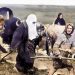ODBIJEN PRIJEDLOG REZOLUCIJE O GENOCIDU U ŠAHOVIĆIMA