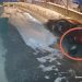 /VIDEO/ Šokantni snimak iz Tutina: Muškarac istovara smeće na ulici ispred kuća