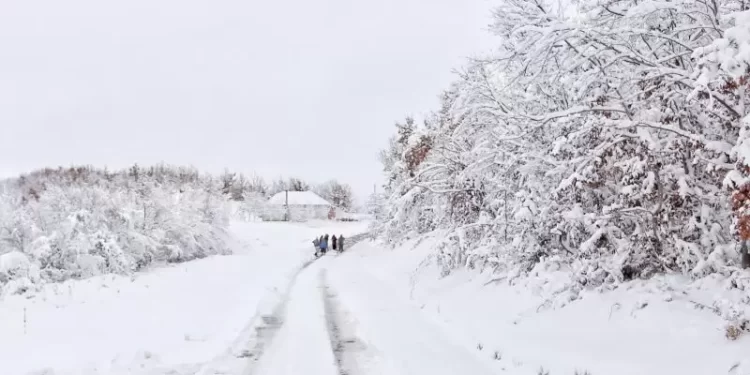 Vremenska prognoza za Tutin: Srijeda, 4. decembar 2024.