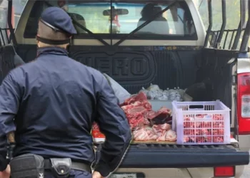 Pazarac uhvaćen u švercu 1.200 kg goveđeg mesa