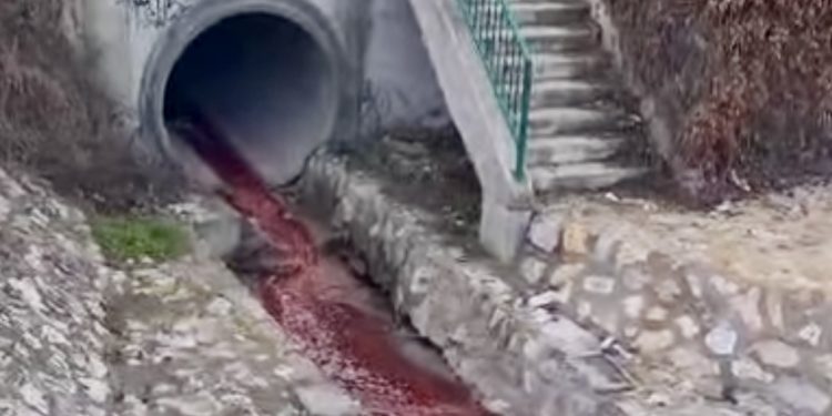 Nova ekološka katastrofa u Novom Pazaru: Rijeka Raška ponovo zagađena