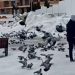 Tutin: Ljubav prema prirodi i hranjenje golubova