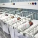 Majka Hedija prvog dana 2025. na svijet donijela trojke, rodili su se u razmaku od tri minute