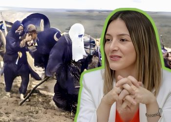 Strujić Harbić: Obustaviti serijal koji falsifikuje historiju Šahovića