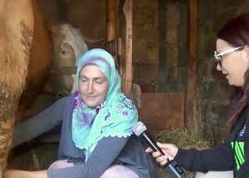/VIDEO/ Priče iz Bosne: Rad žene i briga za stoku u jednom danu