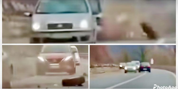 /VIDEO/ Snimak užasa kod Ovčar Banje: Vozač “krivudao” prije sudara, povrijeđeno više osoba