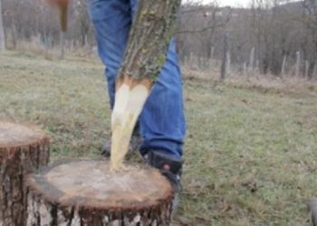 Adem i Vahid se gađali drvenim kolcem pa “zaradili” optužnicu