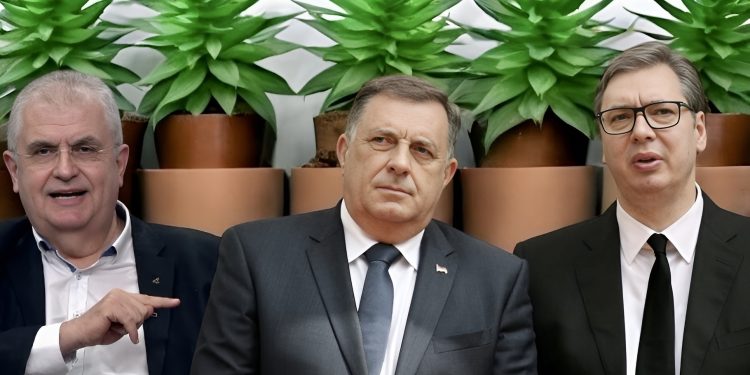 Čanak za Hayat o otcjepljenju Vojvodine: Takva pretenzija dolazi samo od Orbana