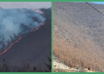 /VIDEO/ Vatrogasci spriječili katastrofu: Lokalizovan veliki požar u selu Batrage