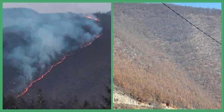 /VIDEO/ Vatrogasci spriječili katastrofu: Lokalizovan veliki požar u selu Batrage