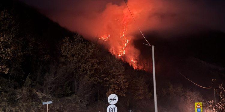 /VIDEO/ Tutin: Bukti požar u selu Batrage