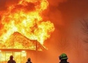 Stravičan požar u Albaniji: Izgorjela farma, stradalo 200 grla stoke