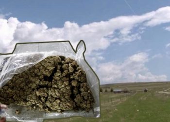 Pešter: Policija zaplijenila 60 kilograma marihuane, uhapšen vozač