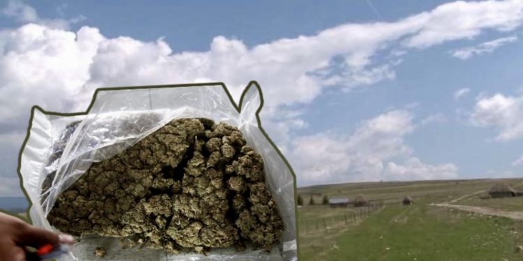 Pešter: Policija zaplijenila 60 kilograma marihuane, uhapšen vozač