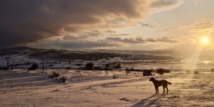 Zima ne popušta: Snijeg i niske temperature zahvatili Tutin 6. aprila 2025.