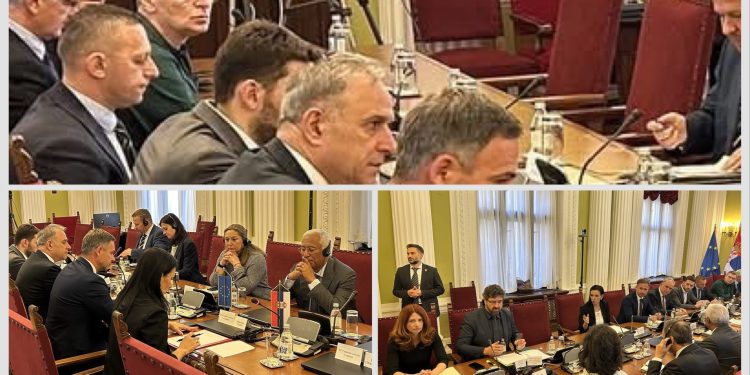 SANDŽAK I BOŠNJACI VAŽAN FAKTOR U EU INTEGRACIJAMA SRBIJE