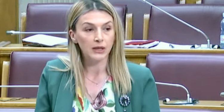 Strujić-Harbić: Brisanje islamskog naslijeđa je pokušaj falsifikovanja istorije