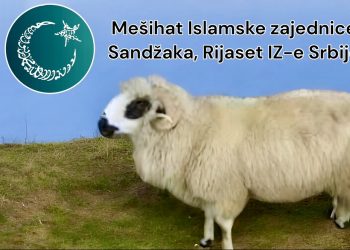 /VIDEO/ Mešihat IZ Sandžaka organizuje akciju klanja i raspodjele kurbana