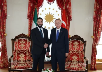 Erdogan i sirijski predsjednik Al-Shara održali sastanak u Istanbulu