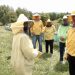 /VIDEO/ Razgovor sa pčelarima Tutina: Očuvanje pčela – prioritet za budućnost