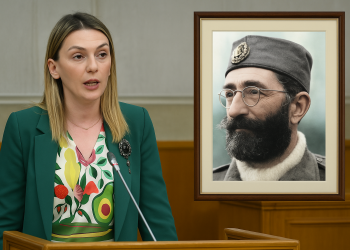 STRUJIĆ-HARBIĆ O POMENU DRAŽI MIHAILOVIĆU: Pređena je crvena linija!
