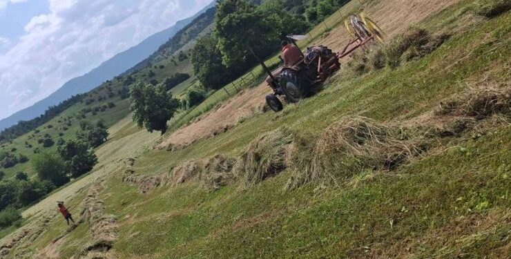 Posvađali se tokom kosidbe: Amir je pijan komšiji zapalio sijeno pa prijetio ubijanjem porodice