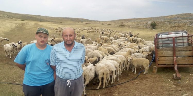 /VIDEO/ Tuga na Pešteri: Stada u selu Bioc bez vode