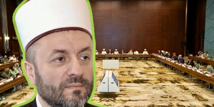 /VIDEO/ Reisu-l-ulema Senad ef. Halitović učestvovao na Međunarodnoj porodičnoj radionici u Konyi
