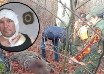 MEDVJED NAPAO LOVCA: LOVAC USTRIJELIO ŽIVOTINJU U SAMOODBRANI