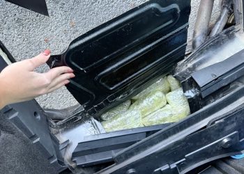 Zaplijenjeno pet tona marihuane kod Kruševca: Jedna od najvećih akcija protiv narkokriminala u regiji