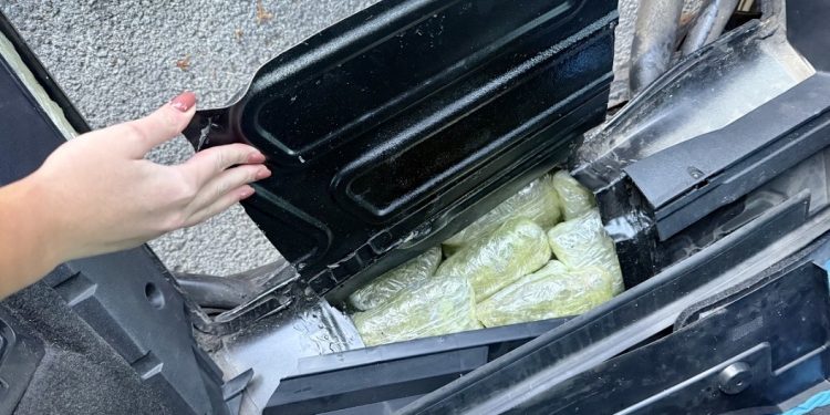 Zaplijenjeno pet tona marihuane kod Kruševca: Jedna od najvećih akcija protiv narkokriminala u regiji