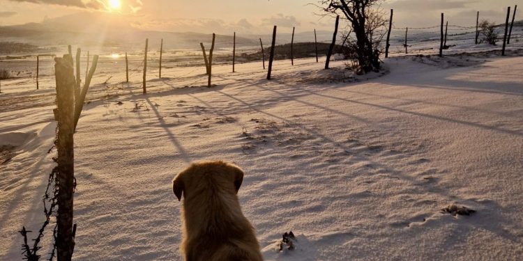 Tutin: Za vikend promjenjivo vrijeme uz najavu snježnih padavina