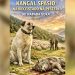 /VIDEO/ Kangal spasio najveće stado na Pešteri od napada vuka