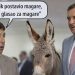 Vukanović bez zadrške nakon poraza opozicije: „Da je Dodik postavio magare, narod bi glasao za magare“