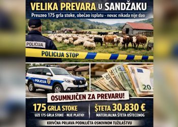 Velika prevara u Sandžaku: Preuzeo 175 grla stoke i obećao isplatu – novac nikada nije dao