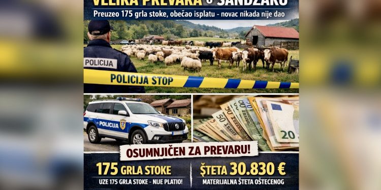 Velika prevara u Sandžaku: Preuzeo 175 grla stoke i obećao isplatu – novac nikada nije dao