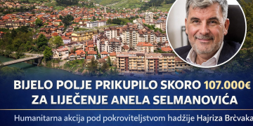 U Bijelom Polju prikupljeno skoro 107.000 eura za liječenje malog Anela Selmanovića iz Tutina