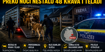 Balkanski lopovi haraju farmama: Preko noći nestalo 48 krava i teladi