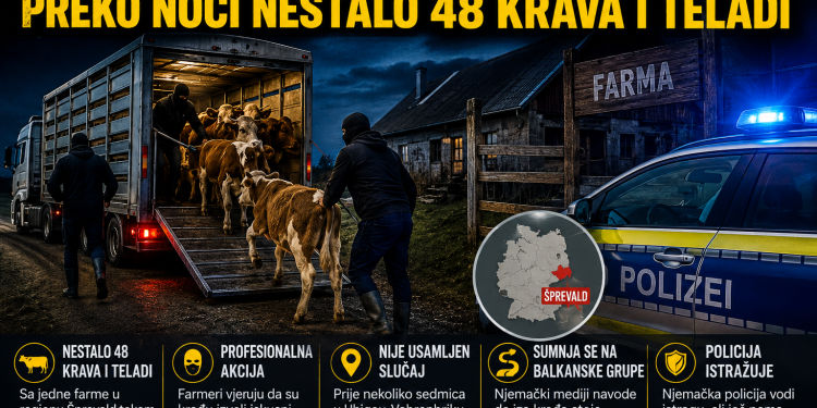 Balkanski lopovi haraju farmama: Preko noći nestalo 48 krava i teladi